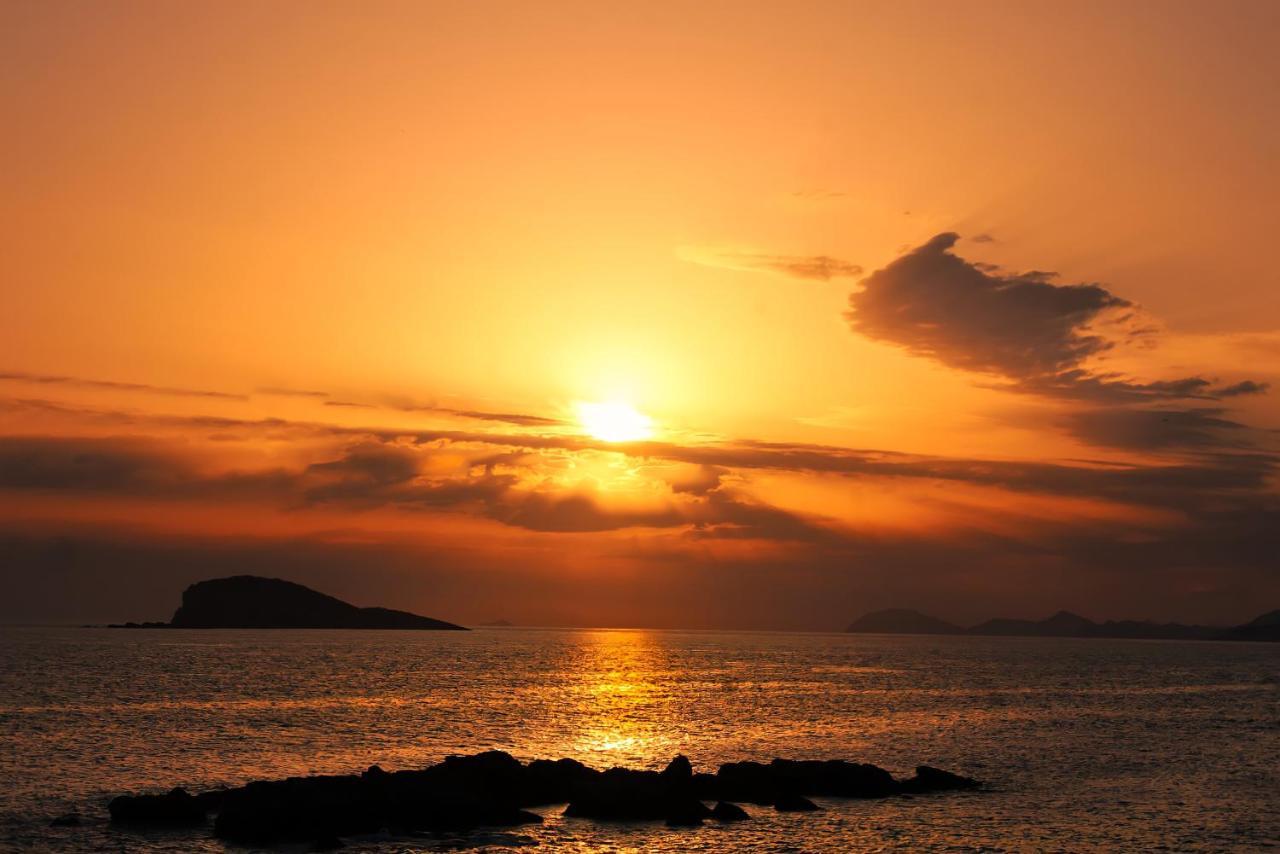 Katusic Cavtat